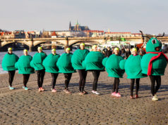 Trénujte, ať vás nepředběhne stonožka! Půlmaratonská stonožka