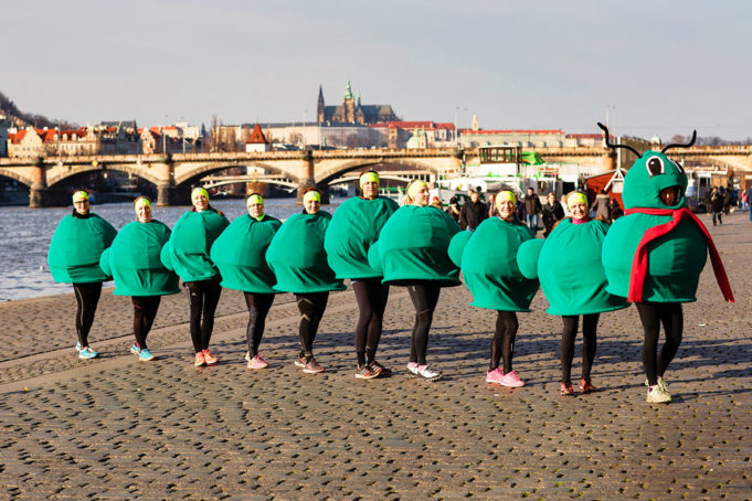 Půlmaratonská stonožka