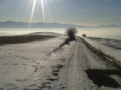 Krátke zamyslenie sa nad Covid-19 a bežeckým hnutím