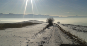 Krátke zamyslenie sa nad Covid-19 a bežeckým hnutím