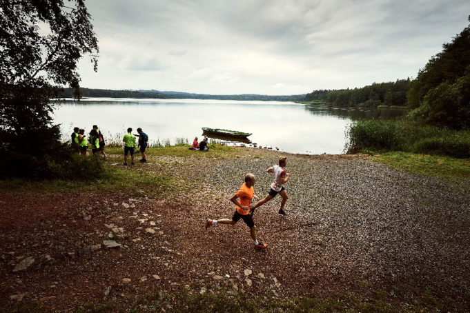 behejlesy_brdy_title