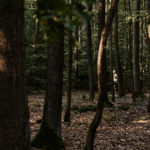 20200815_behejlesy_karlstejn_2143_2048px