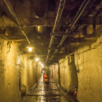 pu_run_16_50176421701_o
