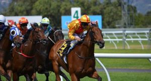 VIDEO: Neil Simpson impresses at Barum Czech Rally Zlín