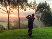 Sport picture of the day: the flying horse